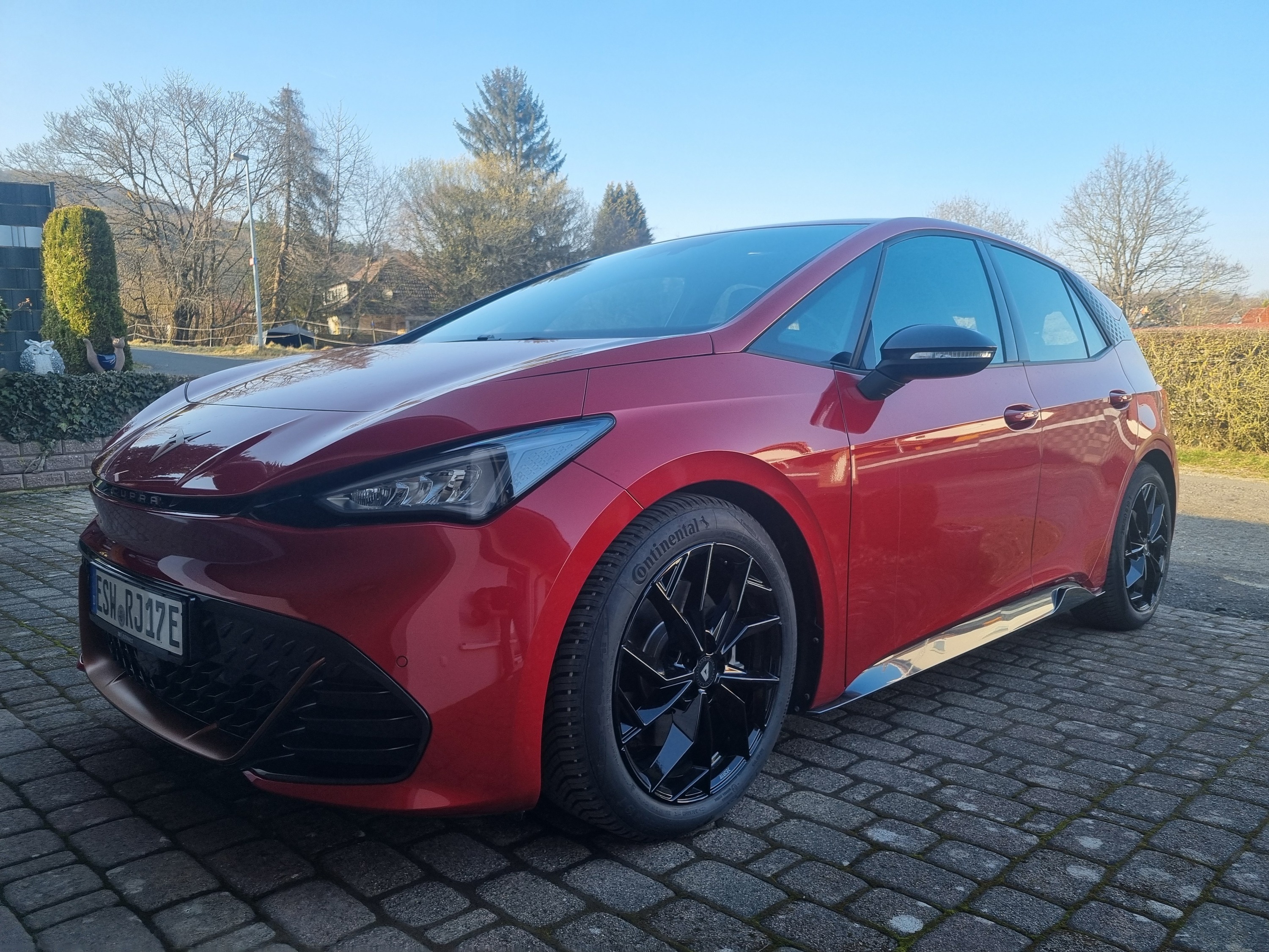 Heute mal bei besserem Licht bBilder gemacht