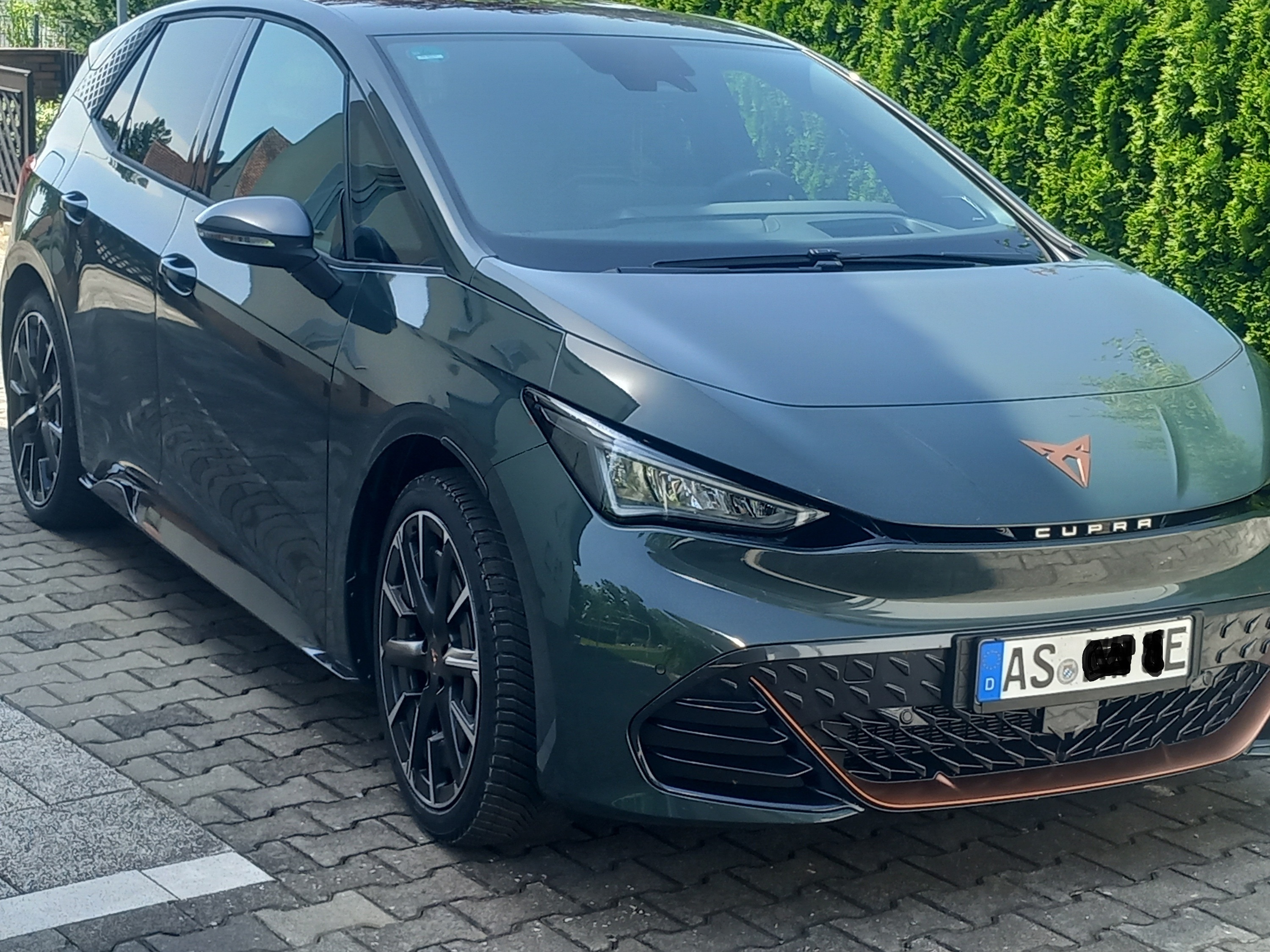 Endlich mal Bilder von meinem Born,  2 Monate alt