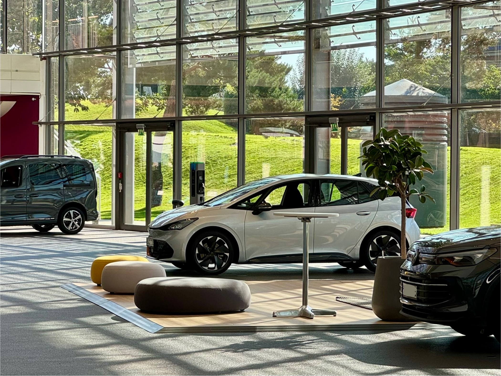 Born MJ25 Geyser Silver