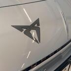 Foliertes Logo vorne